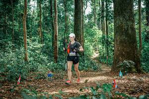 BIB: 
                            <button type="button" onclick="openModal(26058396)" class="btn btn-primary btn-sm float-right btn-popup" data-toggle="modal" data-target=".modal-high-quality">
                        <i class="fas fa-shopping-cart"></i> Add to Cart
                    </button>
                                            <button type="button" onclick="isThisMe(26058396, true)" class="btn btn-success btn-sm float-right btn-popup btn-isme hidden" data-toggle="tooltip" data-placement="bottom" title="นี่คือรูปของคุณใช่ไหม คลิกที่นี่เพื่อเอาเข้าอัลบั้ม">
                        <i class="fas fa-plus"></i> Add to album
                    </button>
                    <button type="button" onclick="isThisMe(26058396, false)" class="btn btn-warning btn-sm float-right btn-popup btn-isnotme hidden">
                        <i class="fas fa-ban"></i> Remove from album
                    </button>